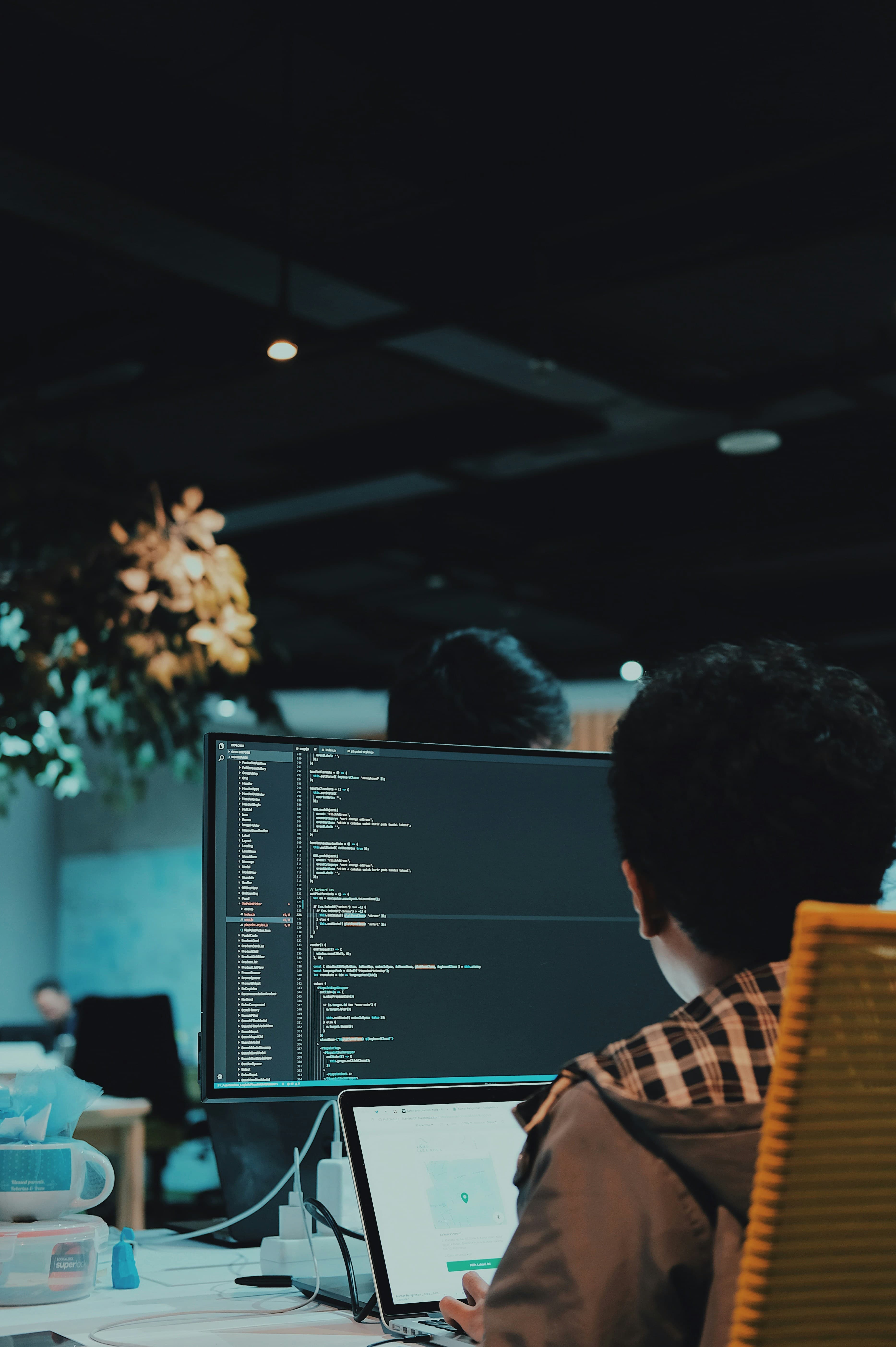 Software Development